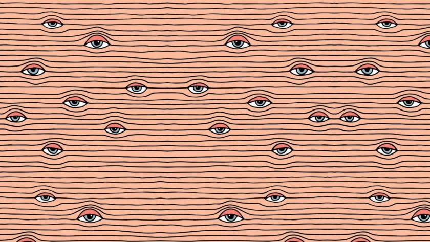 Je suis vu, donc je suis : la société de transparence est pornographique