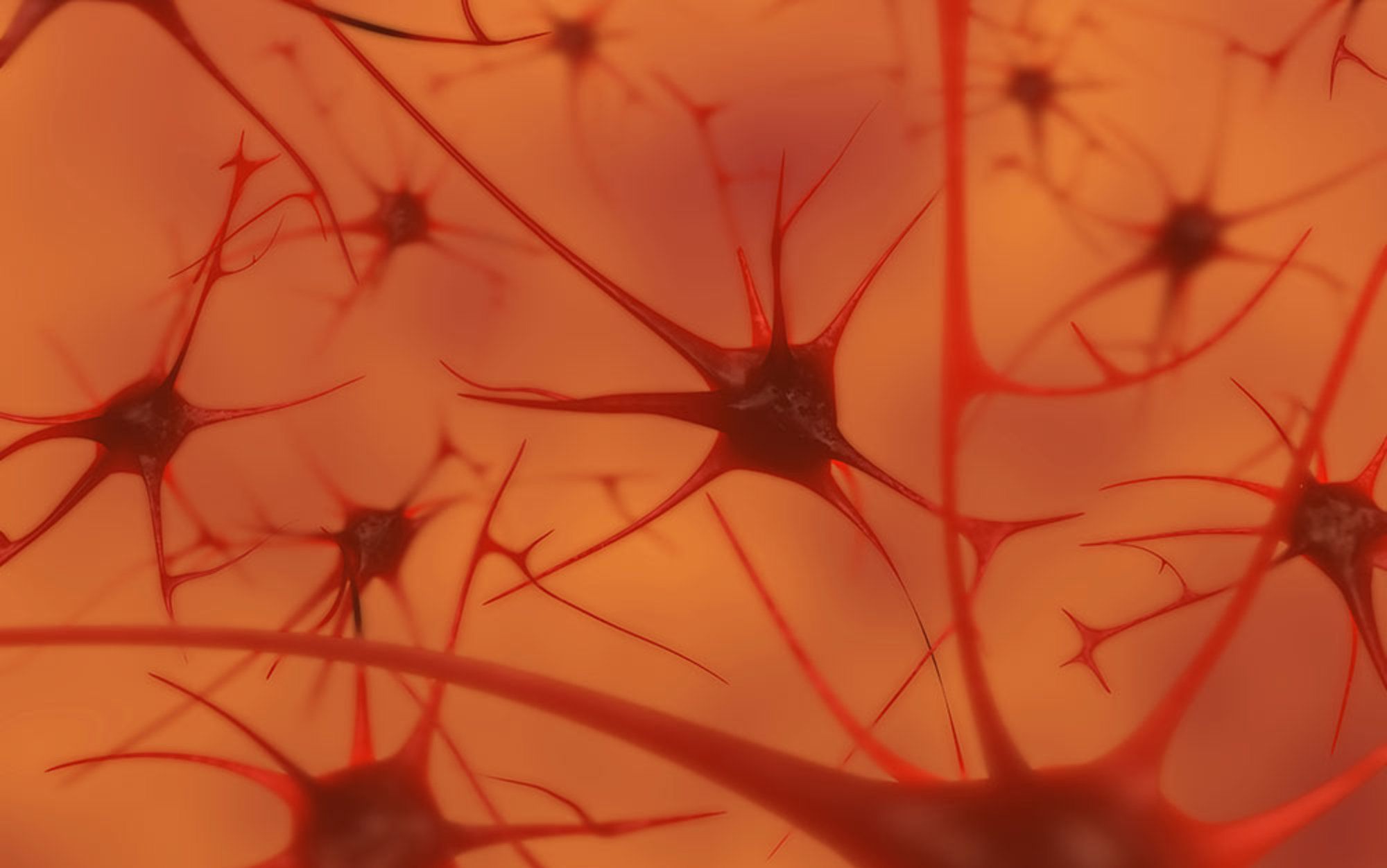 Your brain does not process information and it is not a computer