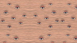 Je suis vu, donc je suis : la société de transparence est pornographique